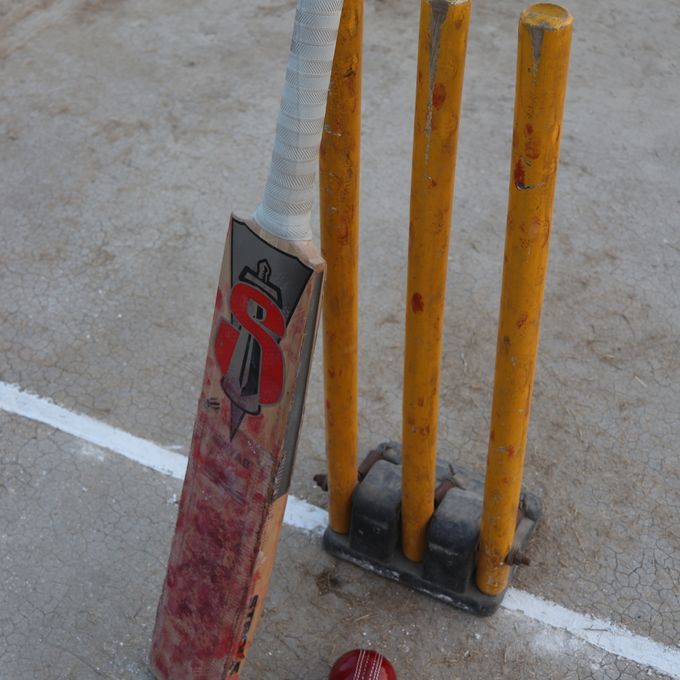 Everest Cricket Bat — Kashmir Willow